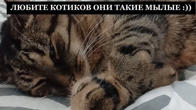 :) смотреть онлайн