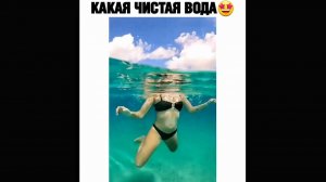 #смешныевидео -1495