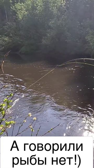 Кто же там клюнул!?