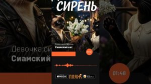 Сиамский кот - Девочка сирень