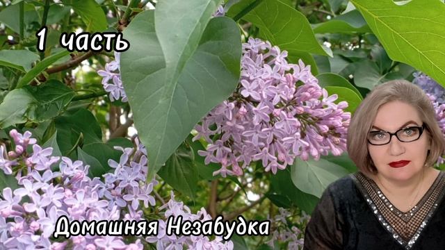 1 часть. Вот так ДЕНЬ РОЖДЕНИЯ🤣❗️А где же ДОСКИНЦЫ❓️ смотреть онлайн