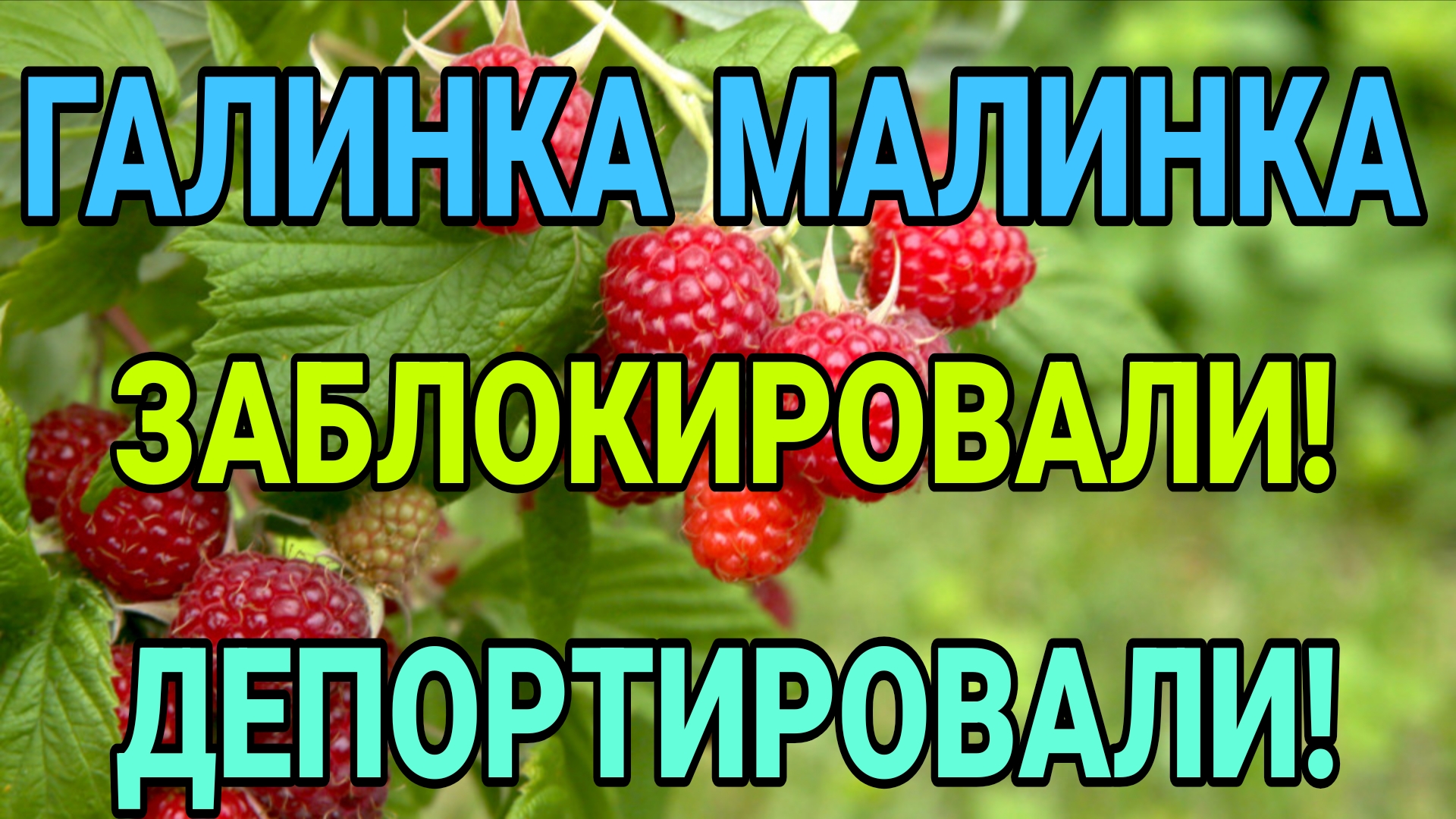 ГАЛИНКА МАЛИНКА! ЗАБЛОКИРОВАЛИ! ДЕПОРТИРОВАЛИ! смотреть онлайн