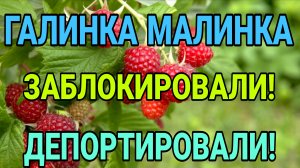 ГАЛИНКА МАЛИНКА! ЗАБЛОКИРОВАЛИ! ДЕПОРТИРОВАЛИ!