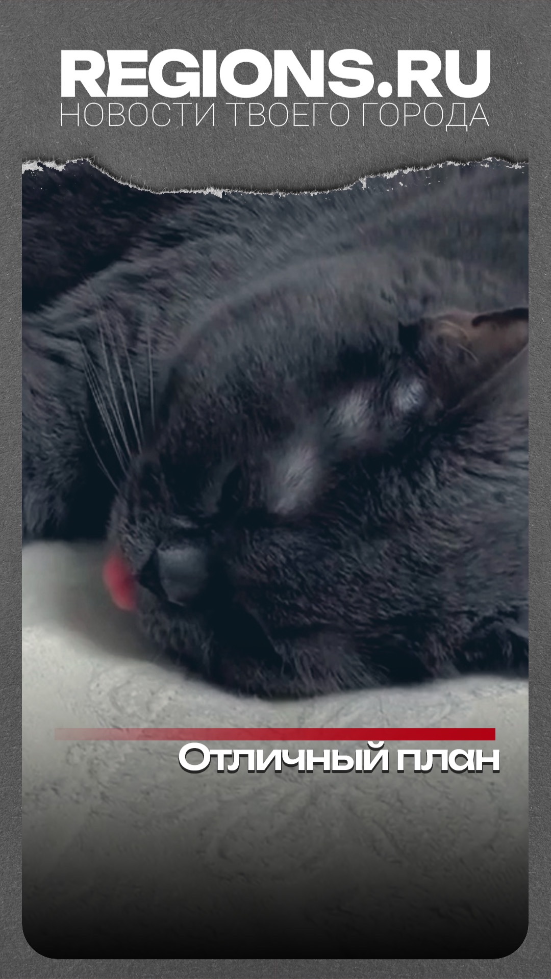 Отличный план