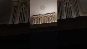 Органист Светлана Фурник, органный концерт, лютеранская церковь Святой Екатерины, Санкт-Петербург