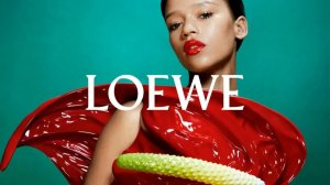 LOEWE In Store Fashion Music Background Playlist June 2026