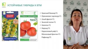 Устойчивые к болезням и вредителям гибриды овощных культур