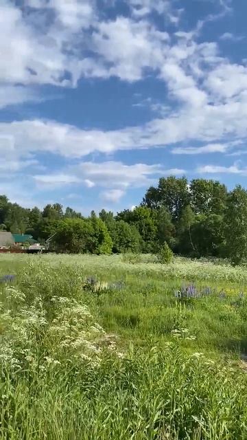 VID_20260610_111120 смотреть онлайн