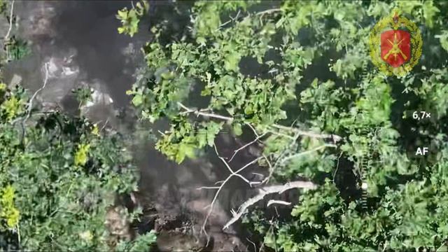 В районе Николаевки операторы беспилотных систем 6-й казачьей бригады