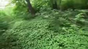 5_74YAIAAAA.mp4