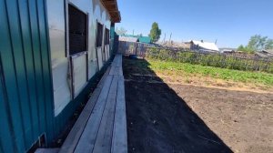 Возились с внуком, появилась новая кошечка.