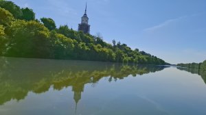 Жизнь или Помидор? Огород.