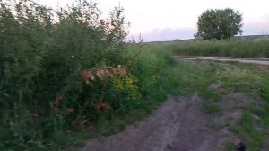 oмяня чуть не поймали