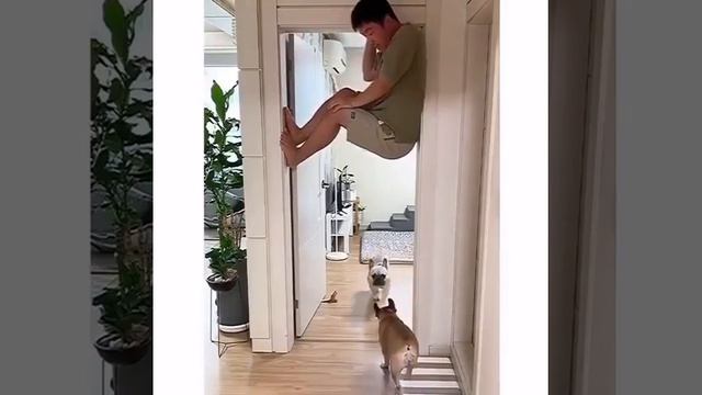 Игра в прятки 😁)) смотреть онлайн