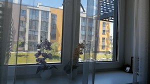 Счастье не всегда приходит с бурными чувствами