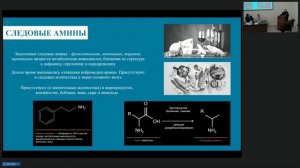 Доклинические исследования специфической активности. Трансляционные модели