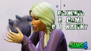 ДЕНЬГИ из ПЫЛИ ► 1х1 ЧЕЛЛЕНДЖ Sims 4