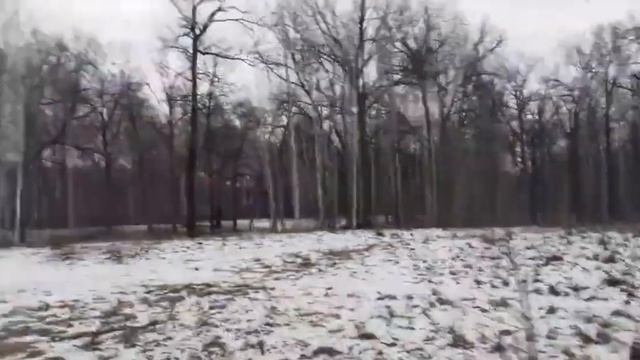 фильм ужасов про зайца часть 1