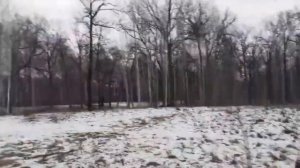 фильм ужасов про зайца часть 1