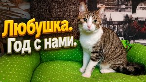 Любушка. Год с нами.
