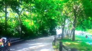 Прогулка.