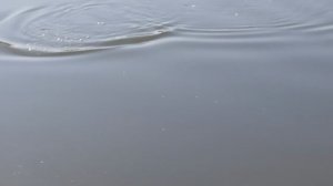 1000047706.mp4