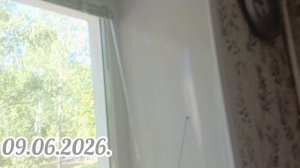 Дача пенсионеров/Рыбалка/Рыбные котлеты/Нянчимся
