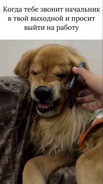 😁😁😁
