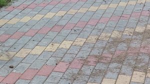 С утра подарок ,на прогулке.