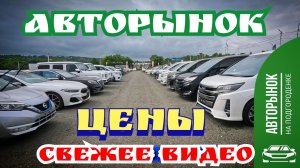 АВТОРЫНОК ЦЕНЫ СВЕЖЕЕ ВИДЕО