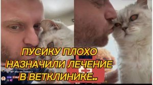 САМВЕЛ АДАМЯН, ПУСИКУ ПЛОХО, НАЗНАЧИЛИ ЛЕЧЕНИЕ, В ВЕТКЛИНИКЕ..