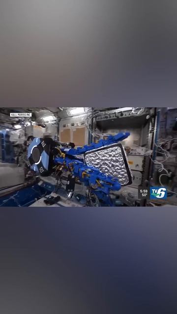Робот-осьминог уберет космос смотреть онлайн