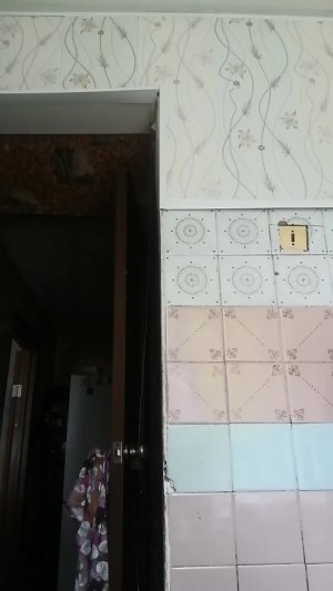 Чтение романа