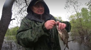 Дождь идёт,а у меня клюет!!!Лещ хороший по радовал на поплавок!