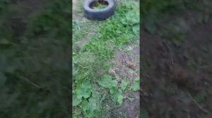(архив 09.09.21)как это было давно