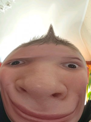 колаб