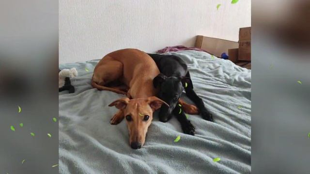 1000071444.mp4 смотреть онлайн