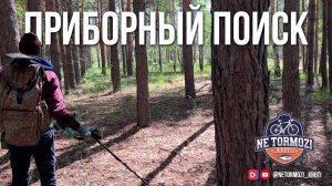 Поиск с металлоискателем после длительной паузы