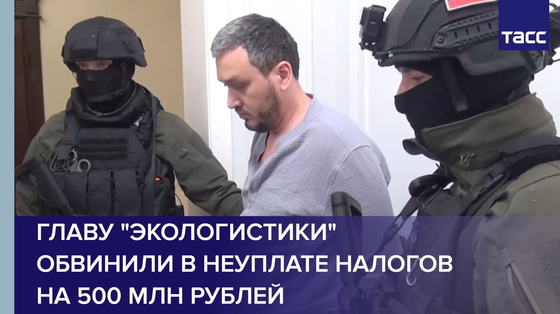 Главу "Экологистики" обвинили в неуплате налогов на 500 млн рублей