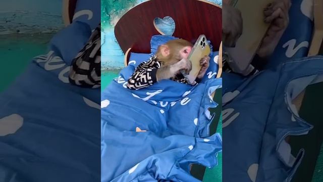 Маленькое чудо смотреть онлайн