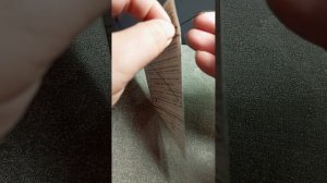 1000088080.mp4