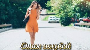 Стая голубей