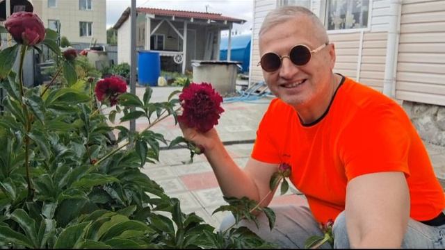 Пионы смотреть онлайн