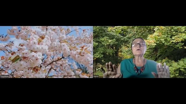 Целительский сеанс  (кости, мышцы, нервные окончания и почки)