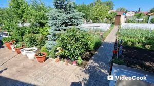 Влог/303/ От цен на мясо голова кругом/ Один день со мной ч.1..
