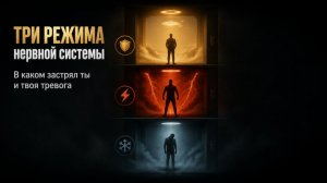 Три режима нервной системы, в каком застрял ты?