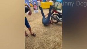 Лучшие смешные видео 🤣 - Люди, которые идиоты 🤣 Попробуй не смеяться - ОТ Funny Dog 🏖️ #68