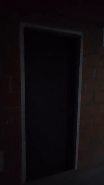 17303008709276