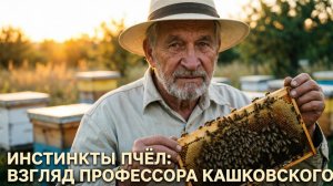 Инстинкты пчёл: взгляд профессора с 80-летним стажем | Владимир Георгиевич Кашковский 🐝🧠