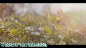 Я подарю тебе вселенной.